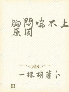 胸闷喘不上气的原因