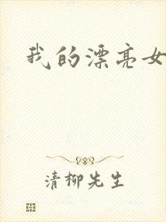 我的漂亮女总裁