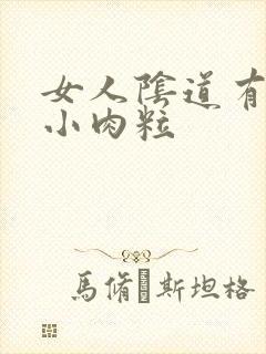 女人阴道有两个小肉粒