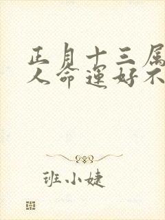 正月十三属马的人命运好不好