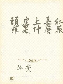 头皮上长红疹子痒是什么原因