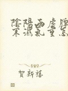 阴阳两虚脾胃虚寒湿气重怎么治