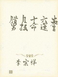 腊月十六出生的男孩命运会怎样