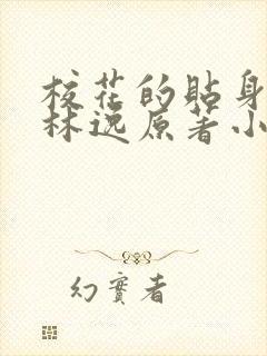 校花的贴身高手林逸原著小说