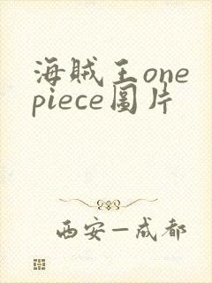 海贼王one piece图片
