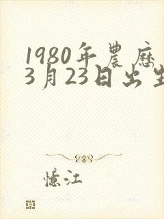 1980年农历3月23日出生人的命运