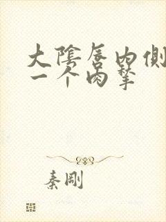 大阴唇内侧长了一个肉揪