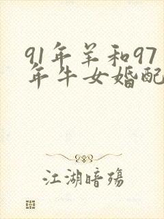 91年羊和97年牛女婚配