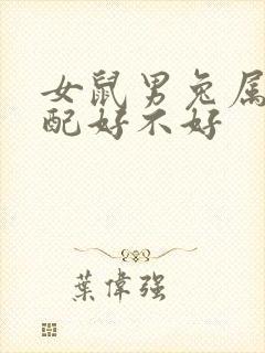 女鼠男兔属相婚配好不好