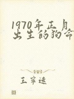 1970年正月出生的狗命运