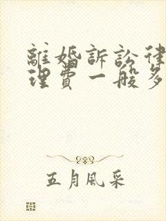 离婚诉讼律师代理费一般多少封面