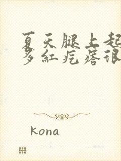 夏天腿上起了好多红疙瘩很痒