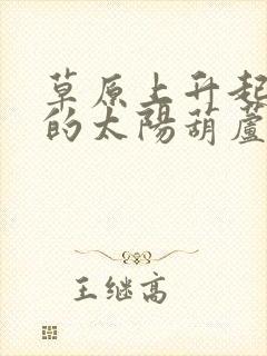 草原上升起不落的太阳葫芦丝示范和伴奏