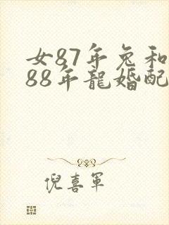 女87年兔和男88年龙婚配封面