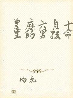 农历六月十七出生的男孩命运