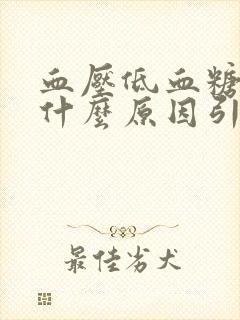 血压低血糖低是什么原因引起的