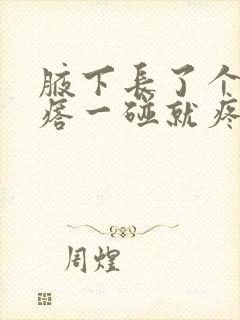 腋下长了个红疙瘩一碰就疼