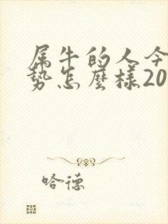 属牛的人今年运势怎么样2025