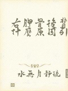 右胛骨后背疼是什么原因引起的女性