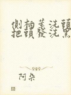 侧柏叶洗头可以把头发洗黑吗