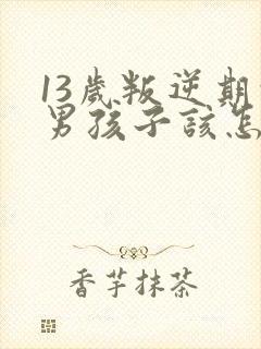 13岁叛逆期的男孩子该怎样去沟通教育封面