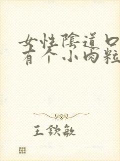 女性阴道口里面有个小肉粒