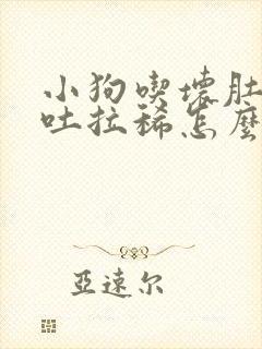 小狗吃坏肚子呕吐拉稀怎么办