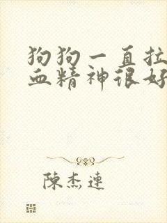 狗狗一直拉稀带血精神很好