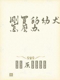 刚买的幼犬拉稀怎么办