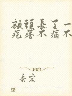 额头长了一片小疙瘩不痛不痒