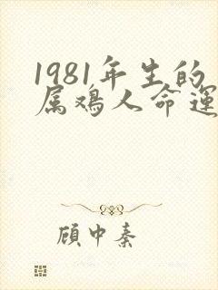 1981年生的属鸡人命运