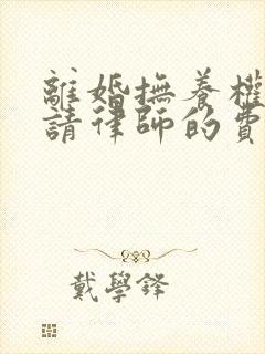 离婚抚养权纠纷请律师的费用封面