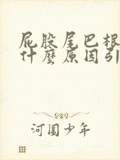 屁股尾巴根疼是什么原因引起的