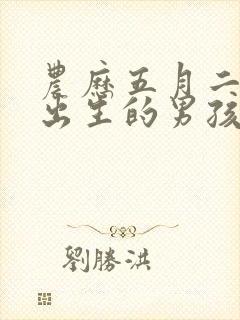 农历五月二十八出生的男孩命运好吗封面