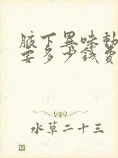 腋下异味动手术要多少钱费用