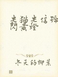 光猫光信号一直闪黄灯