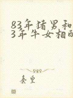 83年猪男和73年牛女相配吗?