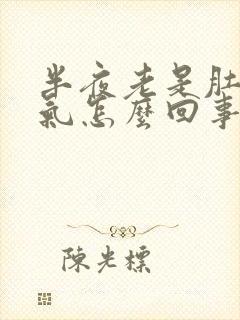 半夜老是肚子胀气怎么回事封面