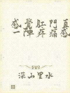 感觉肛门直肠有一阵疼痛感