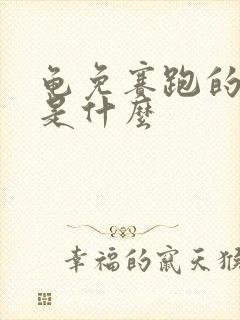 龟免赛跑的道理是什么