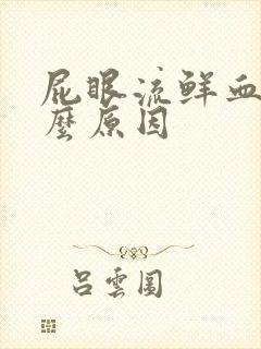 屁眼流鲜血是什么原因封面