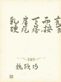 乳房下面有个小硬疙瘩,按有点疼