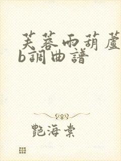 芙蓉雨葫芦丝降b调曲谱封面