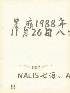 农历1988年11月26日八字算命
