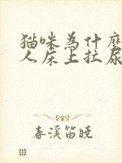 猫咪为什么在主人床上拉尿