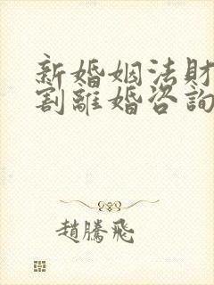 新婚姻法财产分割离婚咨询