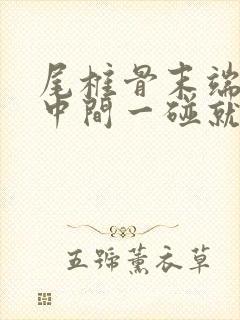 尾椎骨末端屁股中间一碰就疼封面