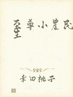 至尊小农民王木生