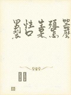 男性生殖器上有裂口是怎么回事