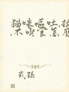 猫咪呕吐,拉稀,不吃食怎么办封面